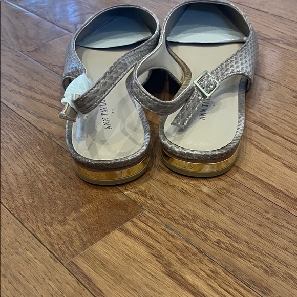 Ann Taylor Giana Slingback Flat - Picture 5 of 9
